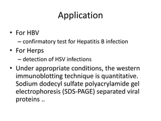 Application
• For HBV
– confirmatory test for Hepatitis B infection
• For Herps
– detection of HSV infections
• Under appropriate conditions, the western
immunoblotting technique is quantitative.
Sodium dodecyl sulfate polyacrylamide gel
electrophoresis (SDS-PAGE) separated viral
proteins ..
 