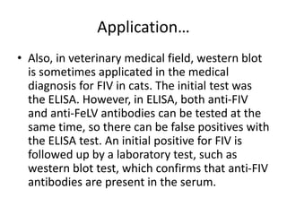 Application…
• Also, in veterinary medical field, western blot
is sometimes applicated in the medical
diagnosis for FIV in cats. The initial test was
the ELISA. However, in ELISA, both anti-FIV
and anti-FeLV antibodies can be tested at the
same time, so there can be false positives with
the ELISA test. An initial positive for FIV is
followed up by a laboratory test, such as
western blot test, which confirms that anti-FIV
antibodies are present in the serum.
 