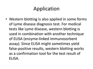 Application
• Western blotting is also applied in some forms
of Lyme disease diagnosis test. For medical
tests like Lyme disease, western blotting is
used in combination with another technique
of ELISA (enzyme-linked immunosorbent
assay). Since ELISA might sometimes yield
false-positive results, western blotting works
as a confirmation tool for the test result of
ELISA.
 