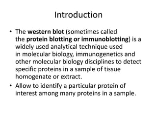 Introduction
• The western blot (sometimes called
the protein blotting or immunoblotting) is a
widely used analytical technique used
in molecular biology, immunogenetics and
other molecular biology disciplines to detect
specific proteins in a sample of tissue
homogenate or extract.
• Allow to identify a particular protein of
interest among many proteins in a sample.
 