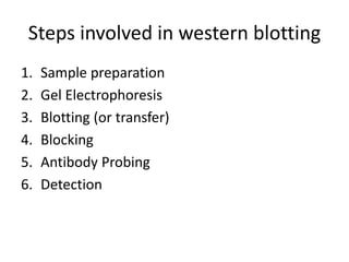 Steps involved in western blotting
1. Sample preparation
2. Gel Electrophoresis
3. Blotting (or transfer)
4. Blocking
5. Antibody Probing
6. Detection
 