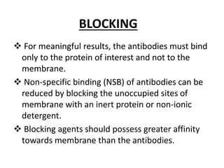 BLOCKING
 For meaningful results, the antibodies must bind
only to the protein of interest and not to the
membrane.
 Non-specific binding (NSB) of antibodies can be
reduced by blocking the unoccupied sites of
membrane with an inert protein or non-ionic
detergent.
 Blocking agents should possess greater affinity
towards membrane than the antibodies.
 