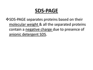 SDS-PAGE
SDS-PAGE separates proteins based on their
molecular weight & all the separated proteins
contain a negative charge due to presence of
anionic detergent SDS.
 