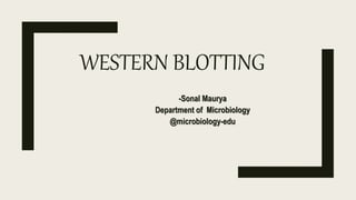 WESTERN BLOTTING
-Sonal Maurya
Department of Microbiology
@microbiology-edu
 