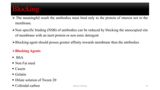 Blocking
 The meaningful result the antibodies must bind only to the protein of interest not to the
membrane.
Non specific binding (NSB) of antibodies can be reduced by blocking the unoccupied site
of membrane with an inert protein or non ionic detergent
Blocking agent should posses greater affinity towards membrane then the antibodies
Blocking Agents
 BSA
 Non Fat meal
 Casein
 Gelatin
 Dilute solution of Tween 20
 Colloidal carbon Western Blotting 15
 