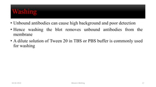 Washing
• Unbound antibodies can cause high background and poor detection
• Hence washing the blot removes unbound antibodies from the
membrane
• A dilute solution of Tween 20 in TBS or PBS buffer is commonly used
for washing
02-05-2019 Western Blotting 17
 
