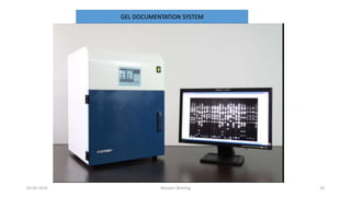 02-05-2019 Western Blotting 20
GEL DOCUMENTATION SYSTEM
 