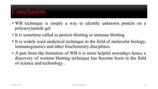 Conclusion
• WB technique is simply a way to identify unknown protein on a
polyacrylamide gel
• It is sometime called as protein blotting or immune blotting
• It is widely used analytical technique in the field of molecular biology,
immunogenetics and other biochemistry disciplines
• A part from the limitation of WB it is more helpful nowadays hence a
discovery of western blotting technique has become boon in the field
of science and technology .
02-05-2019 Western Blotting 23
 