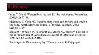 References
• Yang Y, Ma H. Western blotting and ELISA techniques. Researcher.
2009;1(2):67-86.
• Mahmood T, Yang PC. Western blot: technique, theory, and trouble
shooting. North American journal of medical sciences. 2012
Sep;4(9):429.
• Dressler F, Whalen JA, Reinhardt BN, Steere AC. Western blotting in
the serodiagnosis of Lyme disease. Journal of Infectious Diseases.
1993 Feb 1;167(2):392-400.
• Techniques in Biochemistry by T.Devasena and G.Rajagopal.
02-05-2019 Western Blotting 24
 