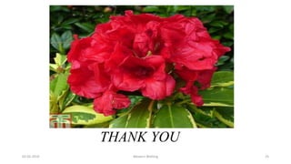 THANK YOU
02-05-2019 Western Blotting 25
 