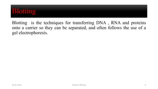 Blotting
Blotting is the techniques for transferring DNA , RNA and proteins
onto a carrier so they can be separated, and often follows the use of a
gel electrophoresis.
02-05-2019 Western Blotting 4
 