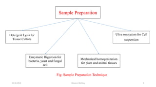 Sample Preparation
Detergent Lysis for
Tissue Culture
Enzymatic Digestion for
bacteria, yeast and fungal
cell
Ultra sonication for Cell
suspension
Mechanical homogenization
for plant and animal tissues
02-05-2019 Western Blotting 9
Fig: Sample Preparation Technique
 