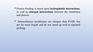  Protein binding is based upon hydrophobic interactions,
as well as charged interactions between the membrane
and protein.
 Nitrocellulose membranes are cheaper than PVDF, but
are far more fragile and do not stand up well to repeated
probing.
 