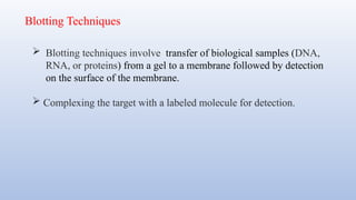  Blotting techniques involve transfer of biological samples (DNA,
RNA, or proteins) from a gel to a membrane followed by detection
on the surface of the membrane.
 Complexing the target with a labeled molecule for detection.
Blotting Techniques
 