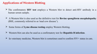 Applications of Western Blotting
 The confirmatory HIV test employs a Western blot to detect anti-HIV antibody in a
human serum sample.
 A Western blot is also used as the definitive test for Bovine spongiform encephalopathy
(BSE, commonly referred to as 'mad cow disease’).
 Some forms of Lyme disease testing employ Western blotting.
 Western blot can also be used as a confirmatory test for Hepatitis B infection.
 In veterinary medicine, Western blot is sometimes used to confirm FIV+ status in cats.
 