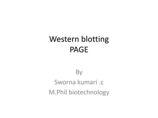 Western blotting
PAGE
By
Sworna kumari .c
M.Phil biotechnology
 
