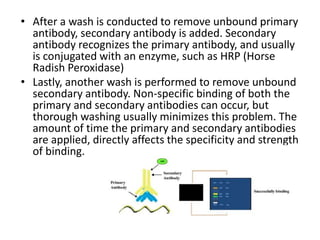 • After a wash is conducted to remove unbound primary
antibody, secondary antibody is added. Secondary
antibody recognizes the primary antibody, and usually
is conjugated with an enzyme, such as HRP (Horse
Radish Peroxidase)
• Lastly, another wash is performed to remove unbound
secondary antibody. Non-specific binding of both the
primary and secondary antibodies can occur, but
thorough washing usually minimizes this problem. The
amount of time the primary and secondary antibodies
are applied, directly affects the specificity and strength
of binding.
 