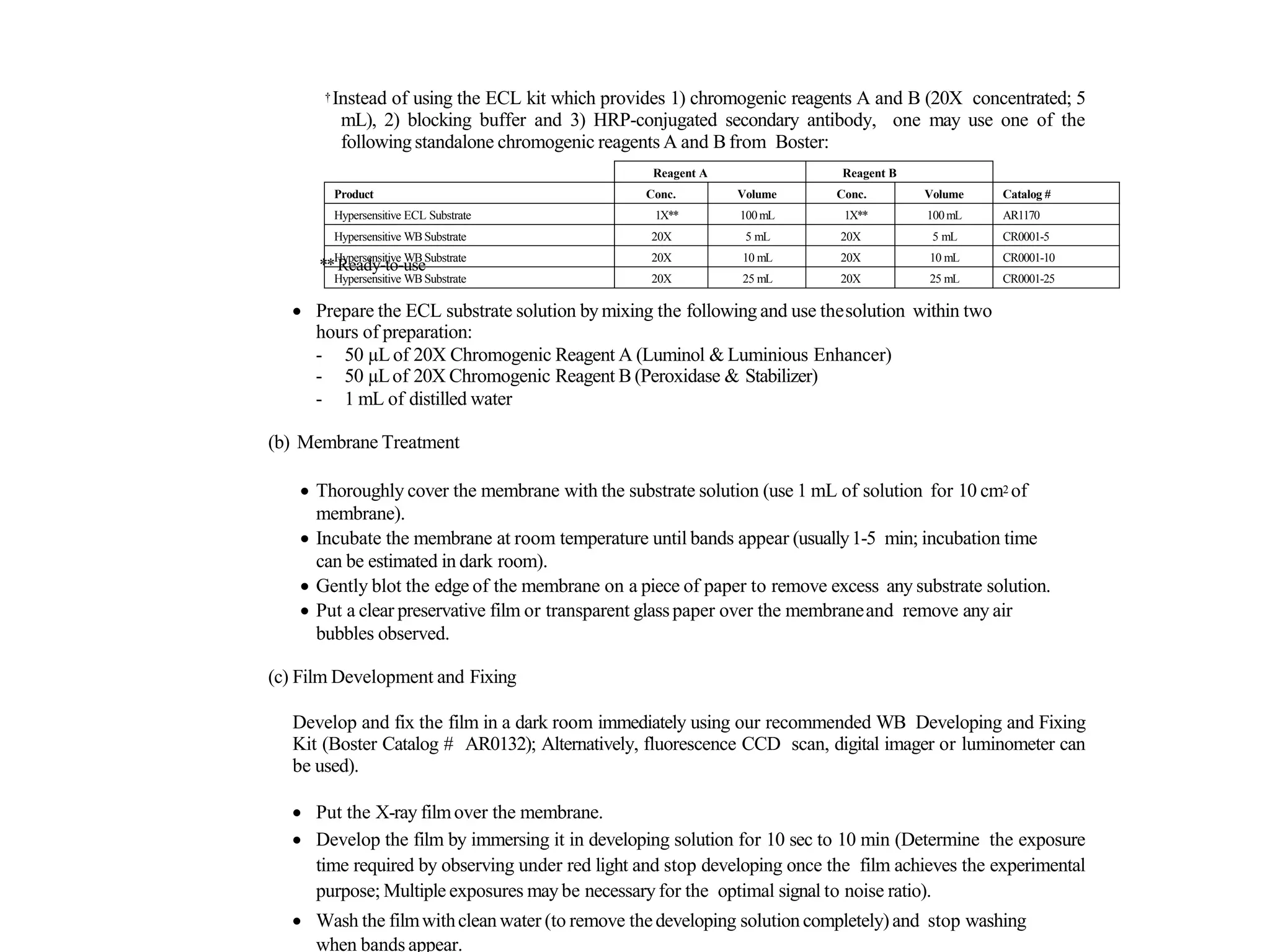 Western Blotting Protocol & Troubleshooting | PDF