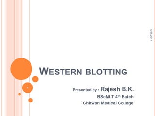 WESTERN BLOTTING
Presented by : Rajesh B.K.
BScMLT 4th Batch
Chitwan Medical College
5/11/2017
1
 