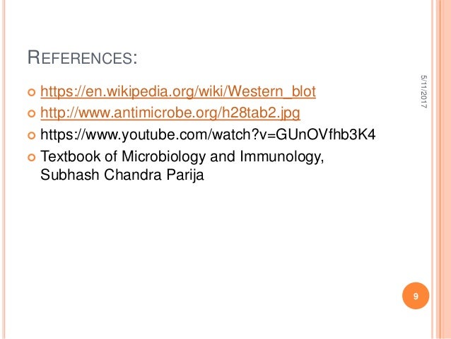 western blot test for dummies western blot test for dummies
