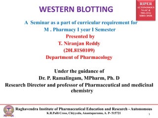 RIPER
AUTONOMOUS
NAAC &
NBA (UG)
SIRO- DSIR
Raghavendra Institute of Pharmaceutical Education and Research - Autonomous
K.R.Palli Cross, Chiyyedu, Anantapuramu, A. P- 515721 1
A Seminar as a part of curricular requirement for
M . Pharmacy I year I Semester
Presented by
T. Niranjan Reddy
(20L81S0109)
Department of Pharmacology
Under the guidance of
Dr. P. Ramalingam, MPharm, Ph. D
Research Director and professor of Pharmaceutical and medicinal
chemistry
WESTERN BLOTTING
 