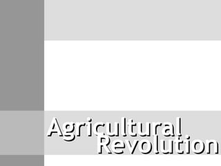 Agricultural Revolution 