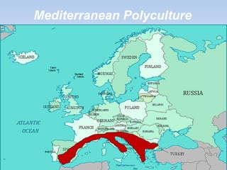 Mediterranean Polyculture
 