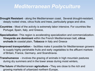 Mediterranean Polyculture
Drought Resistant - along the Mediterranean coast, Several drought-resistant,
deeply rooted vines, citrus fruits and trees, particularly grape and olive.
Countries - Most of the activity is extremely labor intensive. For countries like
Portugal, Spain, Italy, and Greece,
Specialization -This region is accelerating specialization and commercialization.
Vineyards are dominant within the French Mediterranean belt, citrus
orchads in coastal plain, Tobacco in Italy and Greece
Improved transportation - facilities make it possible for Mediterranean growers
to supply highly perishable fruits and early vegetables to the affluent markets
of Britain, France, Germany. and Scandinavia.
Transhumance - involves the grazing of animals in high mountain pastures
during dry summers and in the lower areas during moist winters,
The future of Mediterranean agriculture - They are close to the rich and
growing markets of urbanized northern Europe,
 