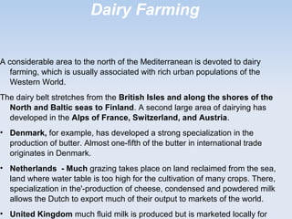 Dairy Farming
A considerable area to the north of the Mediterranean is devoted to dairy
farming, which is usually associated with rich urban populations of the
Western World.
The dairy belt stretches from the British Isles and along the shores of the
North and Baltic seas to Finland. A second large area of dairying has
developed in the Alps of France, Switzerland, and Austria.
• Denmark, for example, has developed a strong specialization in the
production of butter. Almost one-fifth of the butter in international trade
originates in Denmark.
• Netherlands - Much grazing takes place on land reclaimed from the sea,
land where water table is too high for the cultivation of many crops. There,
specialization in the'-production of cheese, condensed and powdered milk
allows the Dutch to export much of their output to markets of the world.
• United Kingdom much fluid milk is produced but is marketed locally for
 