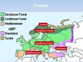 Forest
Deciduous Forest
Tundra
Coniferous Forest
Mediterranean
Grassland
 