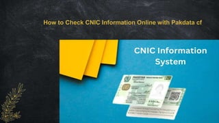 How to Check CNIC Information Online with Pakdata cf
 