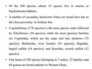 • Of the 290 species, atleast 35 species live in marine or 
brackishwater habitats. 
• A number of secondary freshwater fishes are found here due to 
the close proximity to Arabian Sea. 
• Cypriniformes (178 species) is the most species order followed 
by Siluriformes (50 species), while the most speciose families 
are Cyprinidae, which are the carps and true minnows (72 
species); Balitoridae, river loaches (34 species); Bagridae, 
bagrid catfish (19 species); and Sisoridae, sisorid catfish (12 
species). 
• Fish fauna of 189 species belonging to 7 orders, 23 families and 
69 genera are found endemic toWestern Ghats. 
 