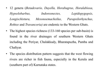 • 12 genera (Betadevario, Dayella, Horabagrus, Horalabiosa, 
Hypselobarbus, Indoreonectes, Lepidopygopsis, 
Longischistura, Mesonoemacheilus, Parapsilorhynchus, 
Rohtee and Travancoria) are endemic to theWestern Ghats. 
• The highest species richness (133-160 species per sub-basin) is 
found in the river drainages of southern Western Ghats 
including the Periyar, Chalakkudy, Bharatapuzha, Pamba and 
Chaliyar. 
• The species distribution pattern suggests that the west flowing 
rivers are richer in fish fauna, especially in the Kerala and 
(southern part of) Karnataka states. 
 