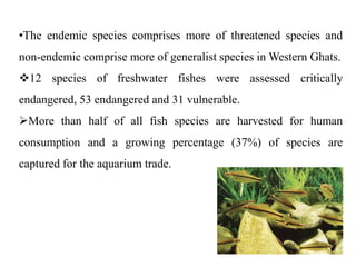 •The endemic species comprises more of threatened species and 
non-endemic comprise more of generalist species inWestern Ghats. 
12 species of freshwater fishes were assessed critically 
endangered, 53 endangered and 31 vulnerable. 
More than half of all fish species are harvested for human 
consumption and a growing percentage (37%) of species are 
captured for the aquarium trade. 
 