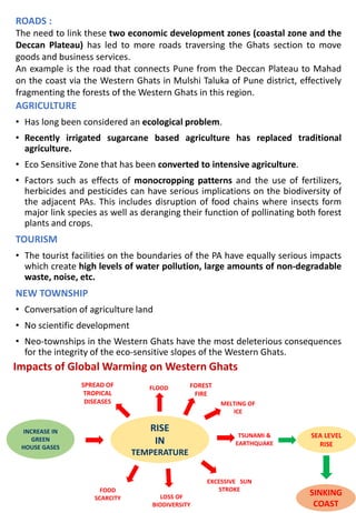 ROADS :
The need to link these two economic development zones (coastal zone and the
Deccan Plateau) has led to more roads traversing the Ghats section to move
goods and business services.
An example is the road that connects Pune from the Deccan Plateau to Mahad
on the coast via the Western Ghats in Mulshi Taluka of Pune district, effectively
fragmenting the forests of the Western Ghats in this region.
AGRICULTURE
• Has long been considered an ecological problem.
• Recently irrigated sugarcane based agriculture has replaced traditional
agriculture.
• Eco Sensitive Zone that has been converted to intensive agriculture.
• Factors such as effects of monocropping patterns and the use of fertilizers,
herbicides and pesticides can have serious implications on the biodiversity of
the adjacent PAs. This includes disruption of food chains where insects form
major link species as well as deranging their function of pollinating both forest
plants and crops.
TOURISM
• The tourist facilities on the boundaries of the PA have equally serious impacts
which create high levels of water pollution, large amounts of non-degradable
waste, noise, etc.
NEW TOWNSHIP
• Conversation of agriculture land
• No scientific development
• Neo-townships in the Western Ghats have the most deleterious consequences
for the integrity of the eco-sensitive slopes of the Western Ghats.
Impacts of Global Warming on Western Ghats
RISE
IN
TEMPERATURE
INCREASE IN
GREEN
HOUSE GASES
MELTING OF
ICE
SEA LEVEL
RISE
SINKING
COAST
TSUNAMI &
EARTHQUAKE
FLOOD
EXCESSIVE SUN
STROKE
LOSS OF
BIODIVERSITY
FOREST
FIRE
FOOD
SCARCITY
SPREAD OF
TROPICAL
DISEASES
 