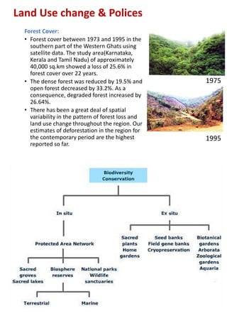 Land Use change & Polices
Forest Cover:
• Forest cover between 1973 and 1995 in the
southern part of the Western Ghats using
satellite data. The study area(Karnataka,
Kerala and Tamil Nadu) of approximately
40,000 sq.km showed a loss of 25.6% in
forest cover over 22 years.
• The dense forest was reduced by 19.5% and
open forest decreased by 33.2%. As a
consequence, degraded forest increased by
26.64%.
• There has been a great deal of spatial
variability in the pattern of forest loss and
land use change throughout the region. Our
estimates of deforestation in the region for
the contemporary period are the highest
reported so far.
1975
1995
 
