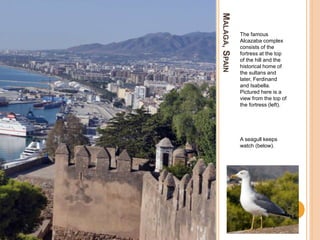 MALAGA,SPAIN
The famous
Alcazaba complex
consists of the
fortress at the top
of the hill and the
historical home of
the sultans and
later, Ferdinand
and Isabella.
Pictured here is a
view from the top of
the fortress (left).
A seagull keeps
watch (below).
 