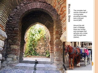 MALAGA,SPAIN
The complex had
narrow channels of
running water
providing humidity
and a tranquil
sound (left).
Around the old
town of Malaga
there are horses
and carriages that
will give you a slow
ride through town
(below).
 
