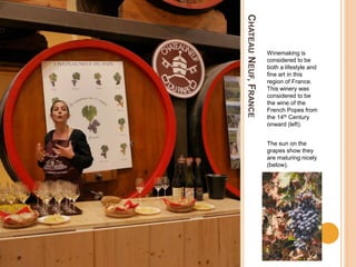 CHATEAUNEUF,FRANCE
Winemaking is
considered to be
both a lifestyle and
fine art in this
region of France.
This winery was
considered to be
the wine of the
French Popes from
the 14th Century
onward (left).
The sun on the
grapes show they
are maturing nicely
(below).
 