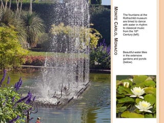 MONTECARLO,MONACO
The fountains at the
Rothschild museum
are timed to dance
with water in rhythm
to classical music
from the 18th
Century (left).
Beautiful water lilies
in the extensive
gardens and ponds
(below).
 