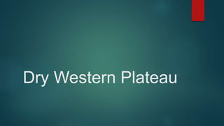 Dry Western Plateau
 