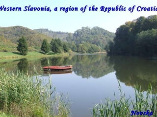 Western Slavonia, a region of the Republic of Croatia  Novska 