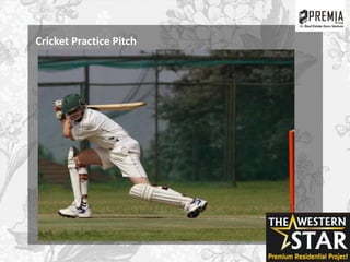 Cricket Practice Pitch
 