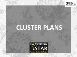 CLUSTER PLANS
 