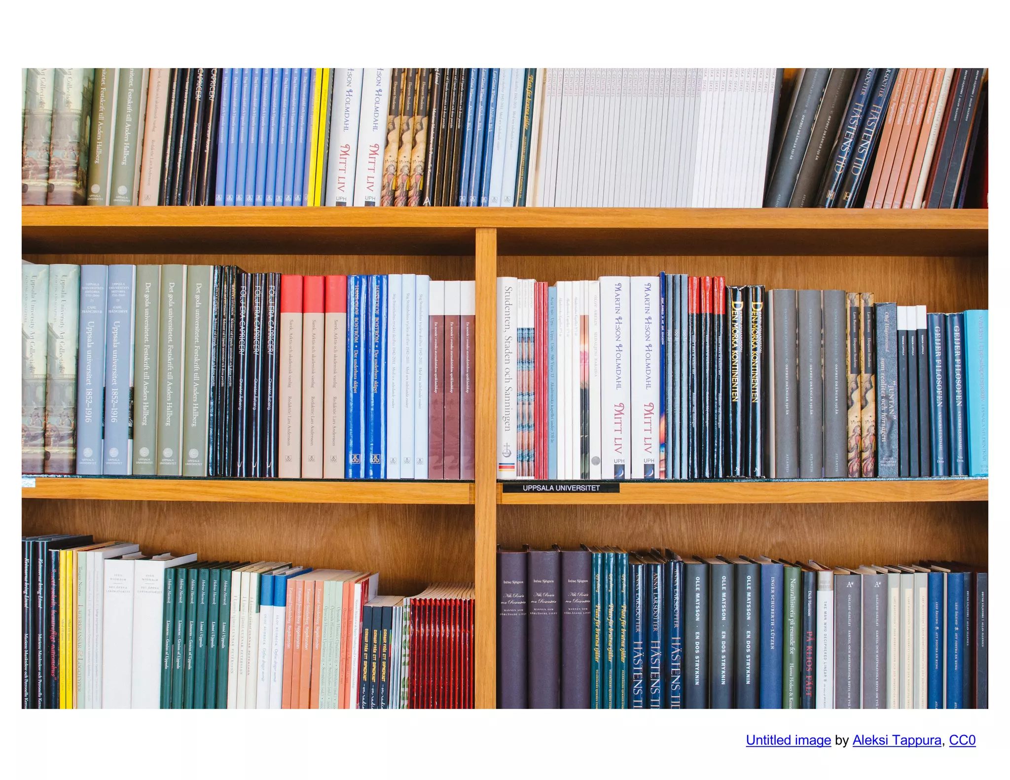 Untitled image by Aleksi Tappura, CC0
 