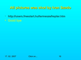 w All pictures waass sshhoott bbyy IIvvaann SSzzeeddoo 
• hhttttpp::////uusseerrss..ffrreeeessttaarrtt..hhuu//tteerrmmeesszzee//kkeeppttaarr..hhttmm 
• Good bye 
17. 02. 2007 Click on... 16 
