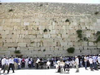 17. 02. 2007 Click on... 8 
 