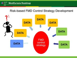 Regional FMD management support – functions and proposals | PDF