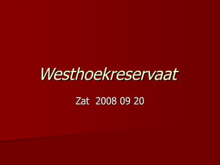 Westhoekreservaat   Zat  2008 09 20 