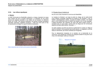 PLAN LOCAL D'URBANISME DE LA COMMUNE DE WESTHOFFEN
Rapport de présentation                                                                                                           ETAT INITIAL DE L'ENVIRONNEMENT




2.3.6.   Les milieux aquatiques                                                   b) COURS D’EAU ET RIPISYLVE
                                                                                  Peu de cours d’eau traversent la commune de Westhoffen.
a) MARES
La forêt communale de Westhoffen présente un réseau important de mares            Le ruisseau du Kohbach, qui longe le centre du village, est en partie bordé
dont l’origine est pour la plupart anthropique. La répartition de ces mares       d’une ripisylve composée notamment de Saules et de Peupliers. C’est un
permet aux espèces associées à ces milieux de se maintenir en différents          habitat à développement linéaire, occupant de faibles surfaces. Cet habitat
points de la forêt. Ces secteurs présentent une grande richesse écologique        joue un rôle fondamental dans la fixation des berges et sur le plan paysager.
(odonates, batraciens, végétation aquatique...). Elles sont entre autre un lieu   L'intérêt faunistique des ripisylves est aussi très élevé puisqu’il forme un
de reproduction privilégié d’un grand nombre de batraciens.                       complexe avec un cours d'eau, comme zone de refuge pour de nombreuses
                                                                                  espèces animales (Mammifères, Odonates…).

                                                                                  Un autre ruisseau qui prend sa source en partie Nord du centre du village et
                                                                                  rejoint le Kohbach n’est quasiment pas bordé d’arbres. La végétation y est très
                                                                                  basse et clairsemée, par endroit constituée de Phragmites.

                                                                                  Pour le déplacement d’espèces et le maintien de la biodiversité de la
                                                                                  commune, il est impératif de conserver les ripisylves existant le long des cours
                                                                                  d’eau et de développer celles qui manquent.


                                                                                                           Ripisylve du Kohbach




Mare restaurée dans la forêt communale de Westhoffen




OTE INGÉNIERIE                                                                                                                                              77/107
                                                                                                                                                           02/05/2012
 